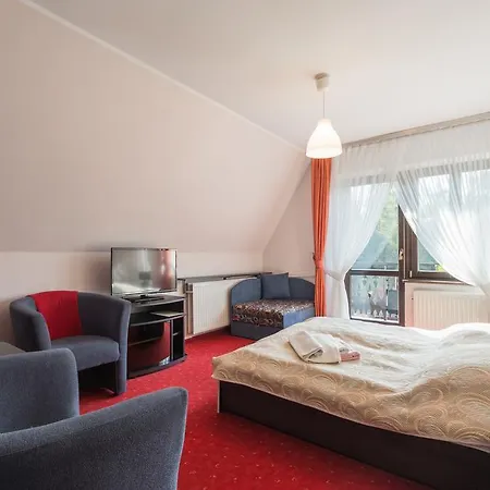 Hamernik 3*